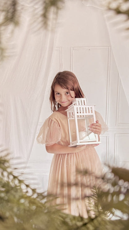 Mini Sesión Navideña