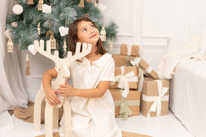 Sesión Navideña Principal