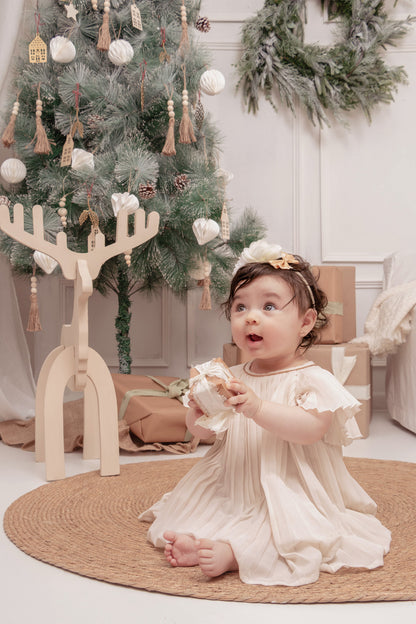 Sesión Navideña Principal